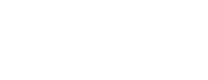 Camara Stereo